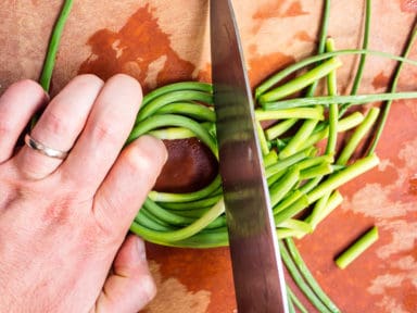 Alex's hand holding down garlic scapes to cut with a knife