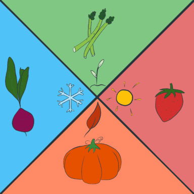 Illustration of 4 seasons with vegetables and fruits