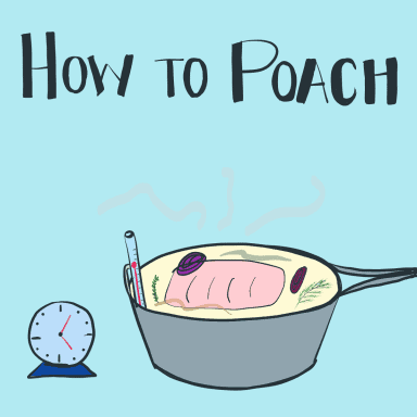 An illustration of a piece of salmon poached in a white wine poaching liquid with aromatics