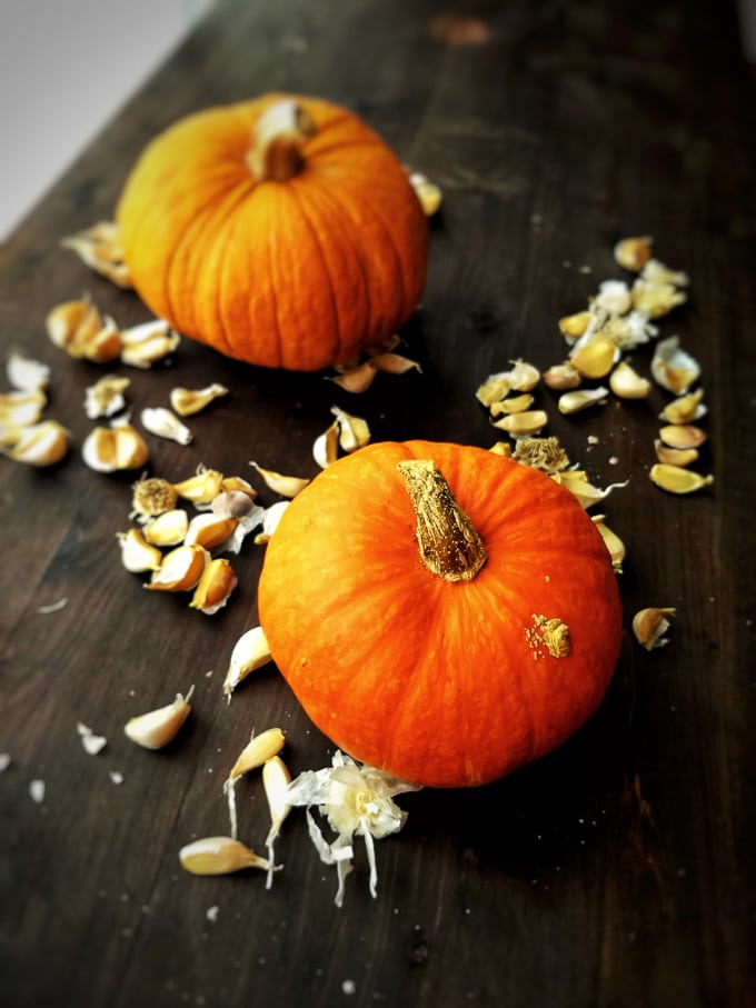 Overhead shot of pumpkins with dried garlic and wood background. Stories from garlicdelight.com.