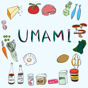 Umami illustration with different ingredients rich in glutamate
